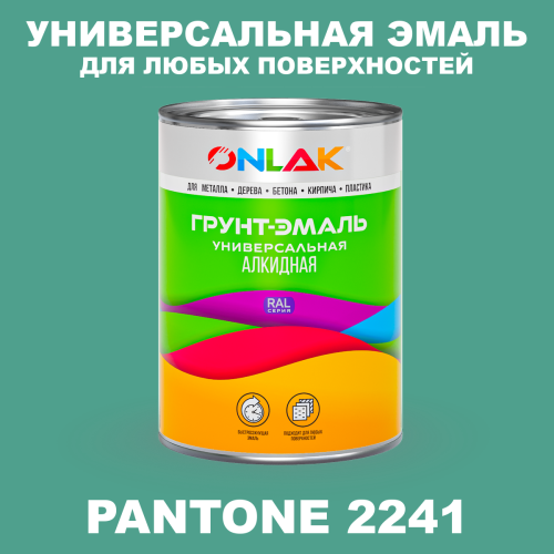 Краска цвет PANTONE 2241 C