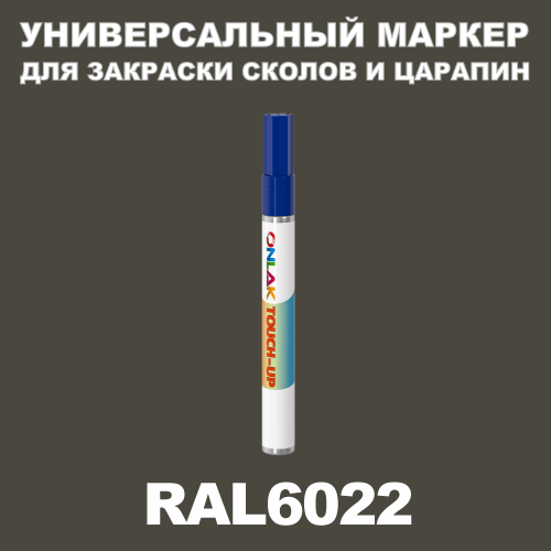 RAL 6022   