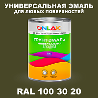 Краска цвет RAL DESIGN 1003020