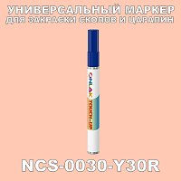 NCS 0030-Y30R МАРКЕР С КРАСКОЙ