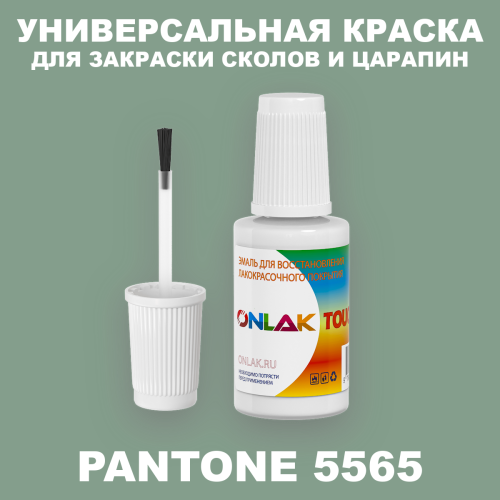 PANTONE 5565 C КРАСКА ДЛЯ СКОЛОВ, флакон с кисточкой