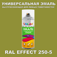 Аэрозольные краски ONLAK, цвет RAL Effect 250-5, спрей 400мл