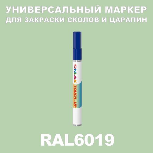 RAL 6019   