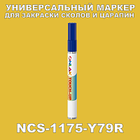 NCS 1175-Y79R   