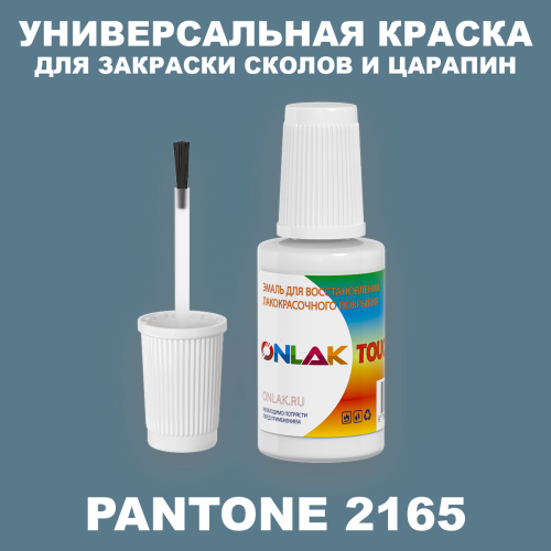 PANTONE 2165 C КРАСКА ДЛЯ СКОЛОВ, флакон с кисточкой