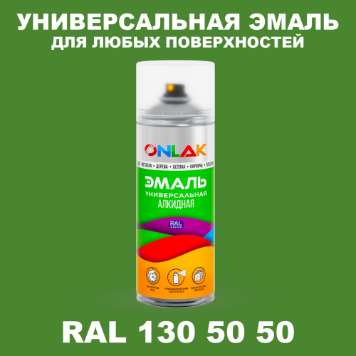 Аэрозольная краска, цвет RAL Design 1305050, спрей 520мл