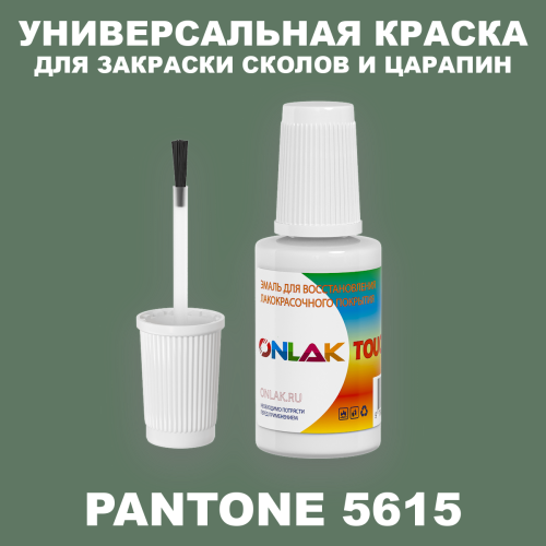 PANTONE 5615 C КРАСКА ДЛЯ СКОЛОВ, флакон с кисточкой