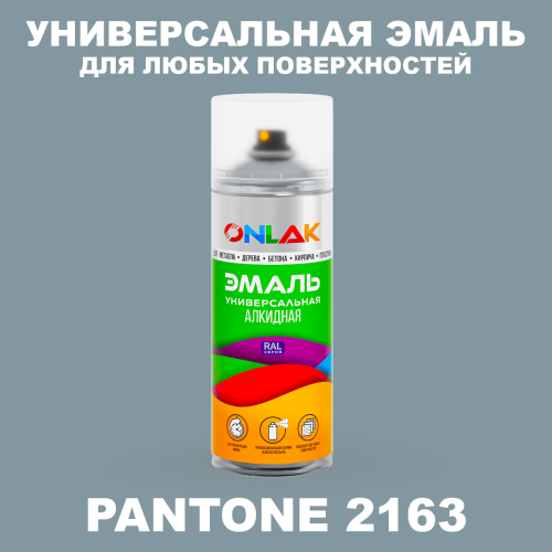 Аэрозольная краска ONLAK, цвет PANTONE 2163 C, спрей 520мл