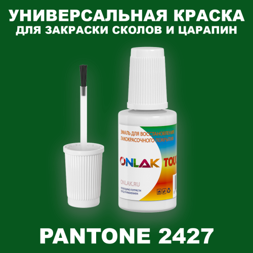 PANTONE 2427 C КРАСКА ДЛЯ СКОЛОВ, флакон с кисточкой