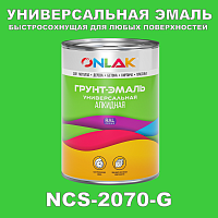 Краска цвет NCS 2070-G