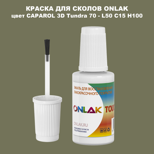 CAPAROL 3D L50 C15 H100 КРАСКА ДЛЯ СКОЛОВ, флакон с кисточкой
