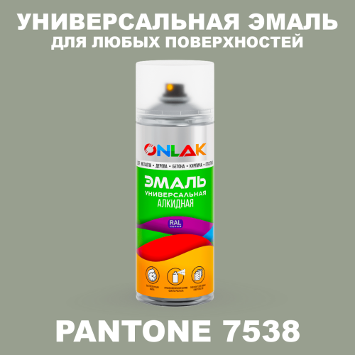 Аэрозольная краска ONLAK, цвет PANTONE 7538 C, спрей 520мл
