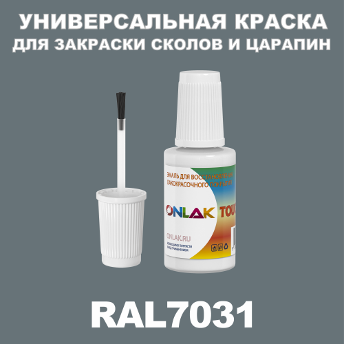 RAL 7031   ,   