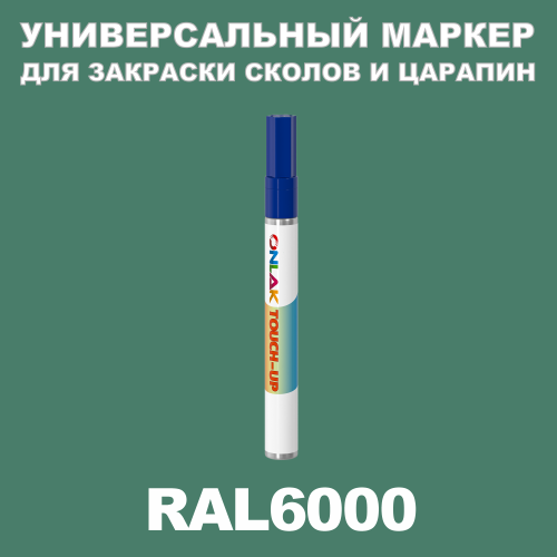 RAL 6000   