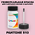 PANTONE 510 C КРАСКА ДЛЯ СКОЛОВ, флакон 50мл с кисточкой