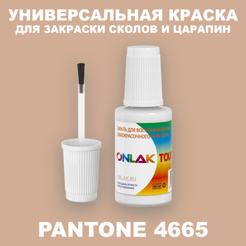 PANTONE 4665 C КРАСКА ДЛЯ СКОЛОВ, флакон с кисточкой