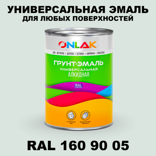 Краска цвет RAL DESIGN 1609005