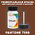 PANTONE 7595 C КРАСКА ДЛЯ СКОЛОВ, полуматовая, флакон 50мл с кисточкой