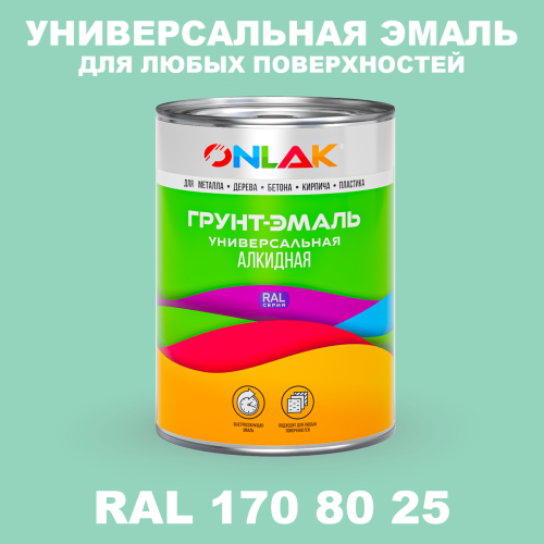 Краска цвет RAL DESIGN 1708025