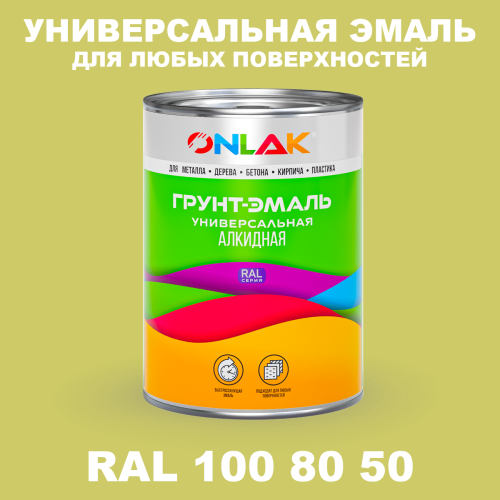 Краска цвет RAL DESIGN 1008050