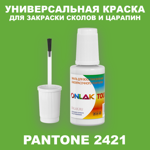 PANTONE 2421 C КРАСКА ДЛЯ СКОЛОВ, флакон с кисточкой