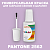 PANTONE 2562 C КРАСКА ДЛЯ СКОЛОВ, полуматовая, флакон 20мл с кисточкой