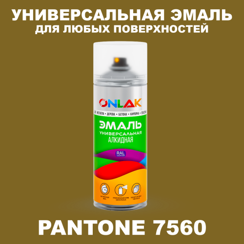 Аэрозольная краска ONLAK, цвет PANTONE 7560 C, спрей 520мл