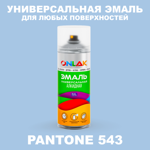 Аэрозольная краска ONLAK, цвет PANTONE 543 C, спрей 520мл