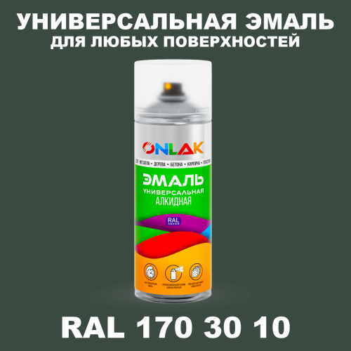 Аэрозольная краска, цвет RAL Design 1703010, спрей 520мл