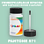 PANTONE 571 C КРАСКА ДЛЯ СКОЛОВ, флакон 50мл с кисточкой