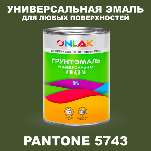 Краска цвет PANTONE 5743 C