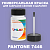 PANTONE 7446 C КРАСКА ДЛЯ СКОЛОВ, матовая, флакон 50мл с кисточкой