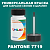 PANTONE 7719 C КРАСКА ДЛЯ СКОЛОВ, флакон 50мл с кисточкой