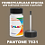 PANTONE 7531 C КРАСКА ДЛЯ СКОЛОВ, матовая, флакон 50мл с кисточкой