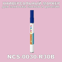 NCS 0030-R30B МАРКЕР С КРАСКОЙ