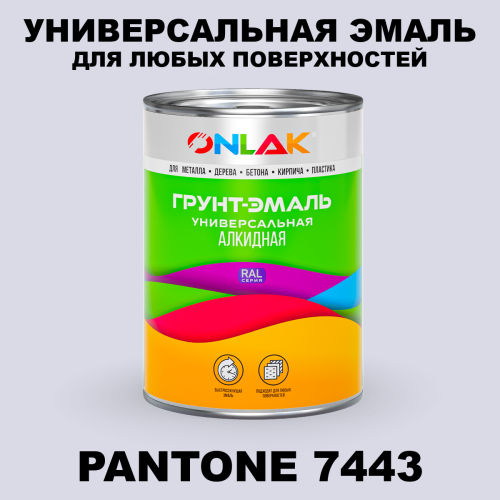 Краска цвет PANTONE 7443 C
