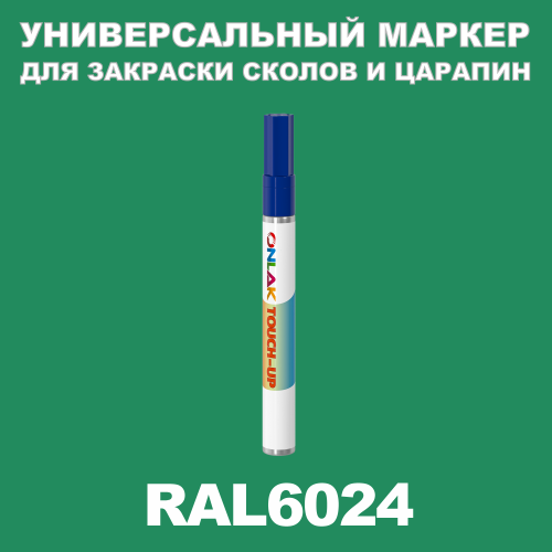 RAL 6024   