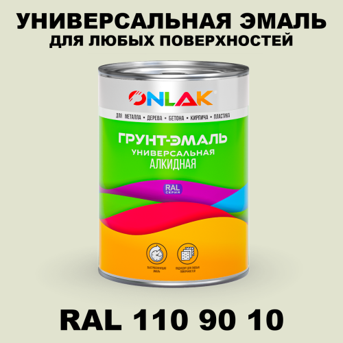 Краска цвет RAL DESIGN 1109010