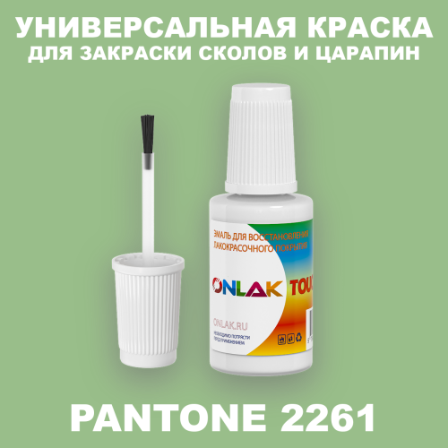 PANTONE 2261 C КРАСКА ДЛЯ СКОЛОВ, флакон с кисточкой