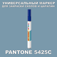 PANTONE 5425C   