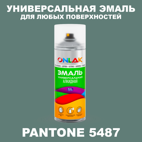 Аэрозольная краска ONLAK, цвет PANTONE 5487 C, спрей 520мл