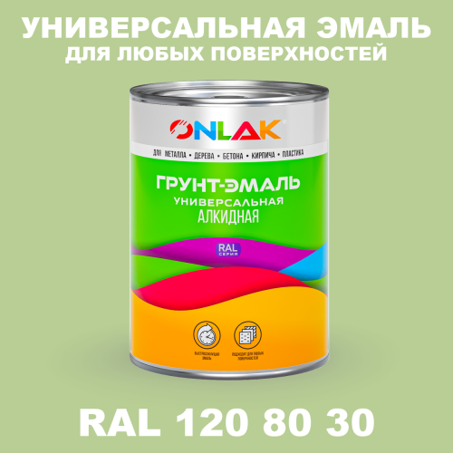 Краска цвет RAL DESIGN 1208030