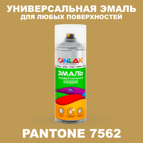 Аэрозольная краска ONLAK, цвет PANTONE 7562 C, спрей 520мл
