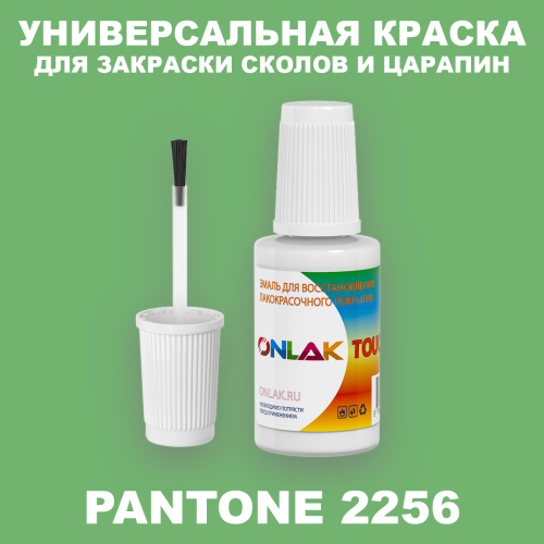 PANTONE 2256 C КРАСКА ДЛЯ СКОЛОВ, флакон с кисточкой