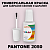 PANTONE 2050 C КРАСКА ДЛЯ СКОЛОВ, полуматовая, флакон 20мл с кисточкой
