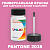 PANTONE 2038 C КРАСКА ДЛЯ СКОЛОВ, флакон 50мл с кисточкой