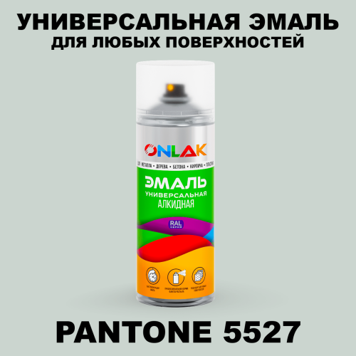 Аэрозольная краска ONLAK, цвет PANTONE 5527 C, спрей 520мл