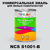 Краска цвет NCS S1001-B