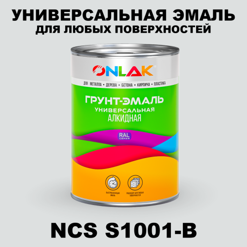 Краска цвет NCS S1001-B