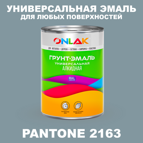 Краска цвет PANTONE 2163 C